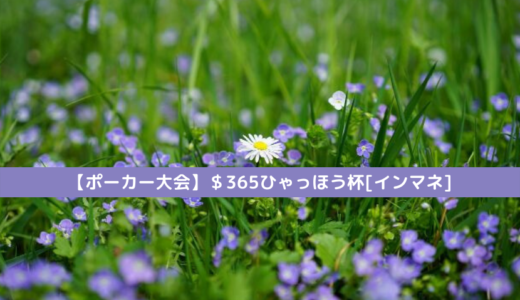 ポーカー大会 250ひゃっほうさん主催の大会と第14回ピョコタン杯 結果 りゅうブログ